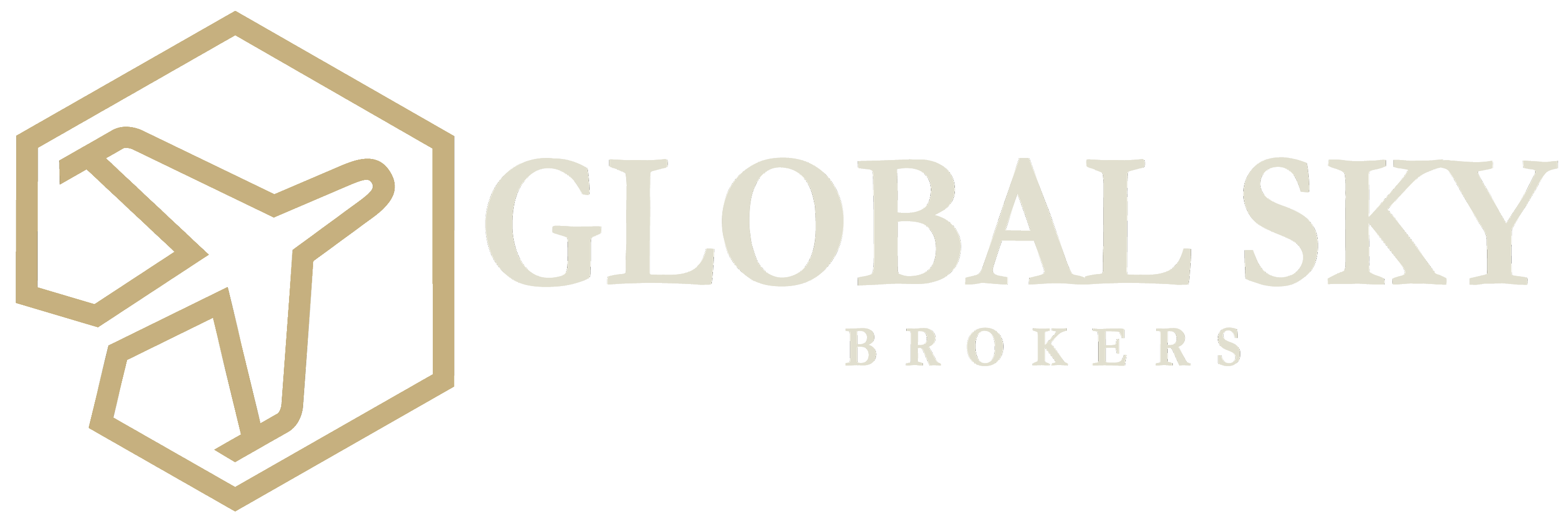 Logo de GlobalSky — cliente de CloudTree Solutions