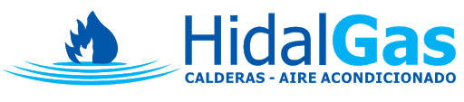 Logo de Hidalgas — cliente de CloudTree Solutions
