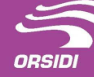Logo de Orsidi — cliente de CloudTree Solutions